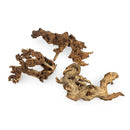 Dried ginseng root segments in Gnarly Wood product