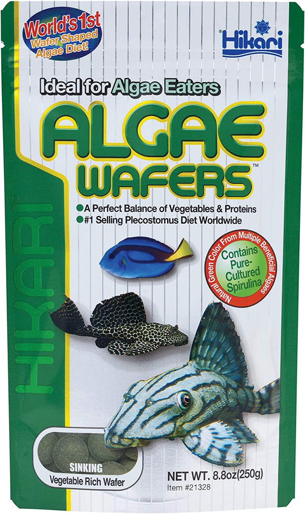 Hikari Algae Wafers - AquaticMotiv