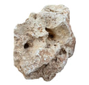 Hole stone coral rock in beige and tan with rough porous texture and natural holes for decorative use