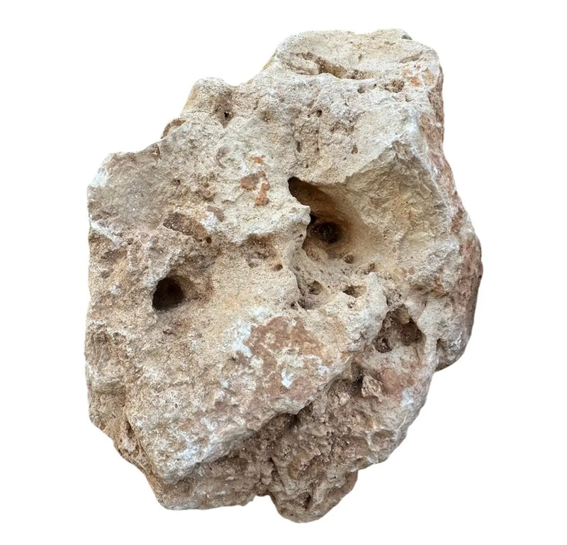 Hole Stone for Aquascaping and Shrimp Hiding Spots | Aquatic Motiv