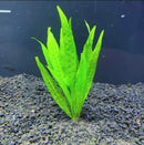 Java Fern Narrow-Leaf artificial aquatic plant with serrated green leaves
