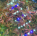 Blue and white LED string lights on Juncus Repens Red Form pot foliage