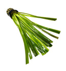 Jungle Val Pot: bundled green seaweed with rubber band for aquariums