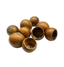 Kuchipal Pods - [AquaticMotiv]