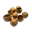 Brown round hollowed-out Kuchipal Pods with rough textured surfaces