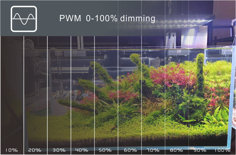 LEDSTAR AQ-D RGBW Full-spectrum - [AquaticMotiv]