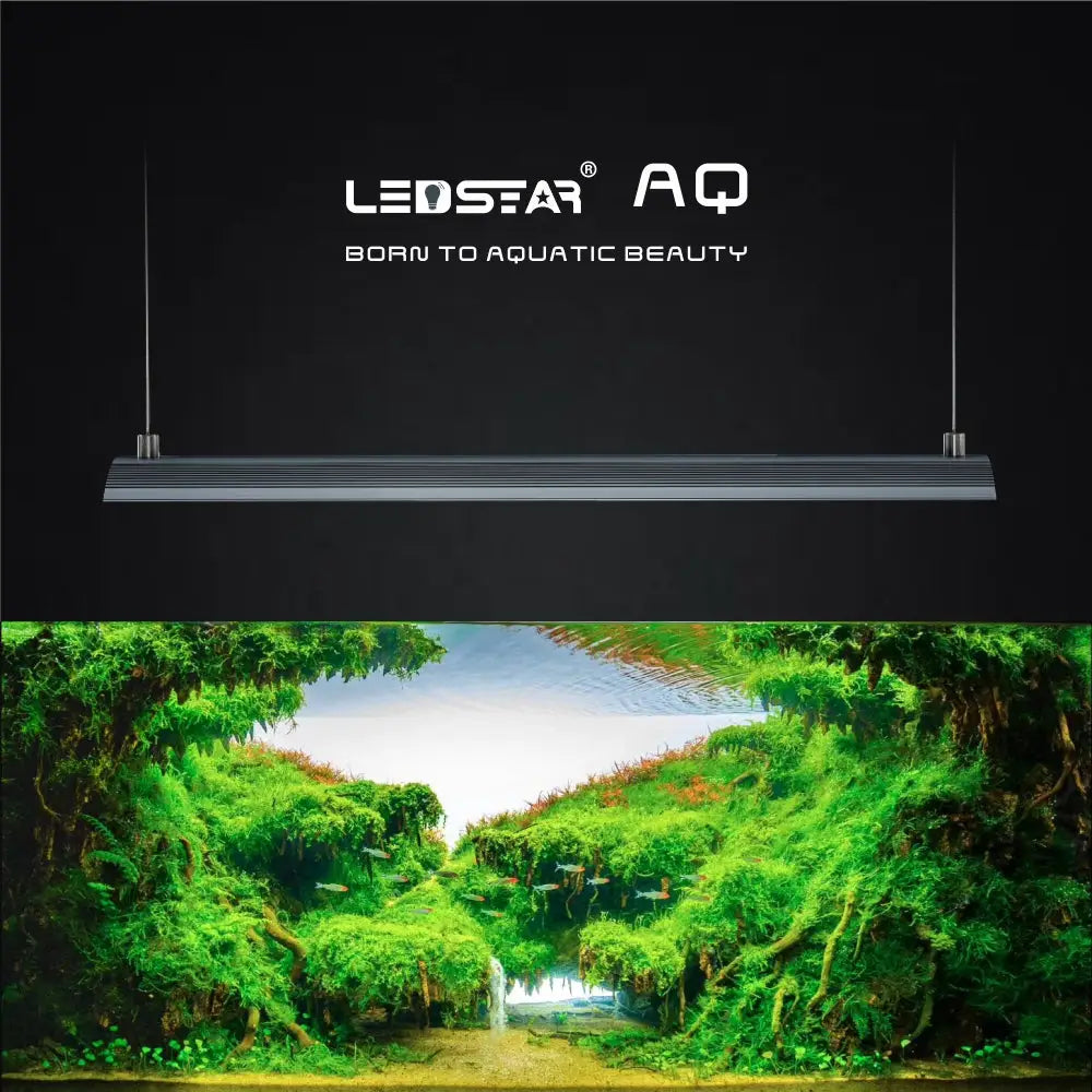 LEDSTAR AQ-D RGBW Full Spectrum Aquarium Light | Aquatic Motiv