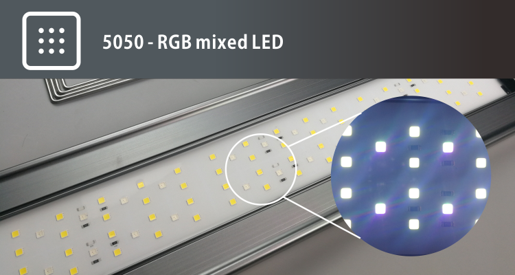 LEDSTAR AQ-D RGBW Full-spectrum - [AquaticMotiv]
