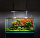 Ledstar aq-x vibrant rectangular glass aquarium with lush red and green aquatic plants and natural driftwood decor