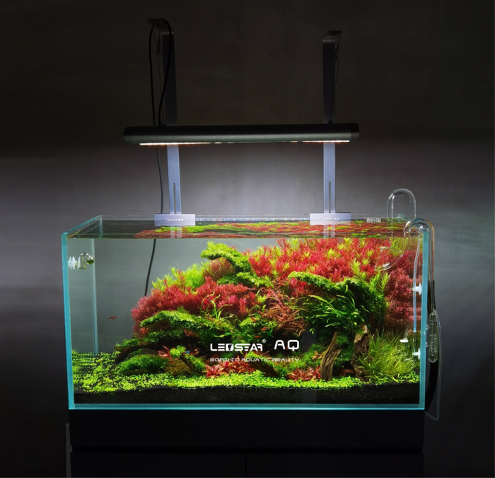 LEDSTAR AQ-X RGBW FR Full Spectrum Light | Aquatic Motiv