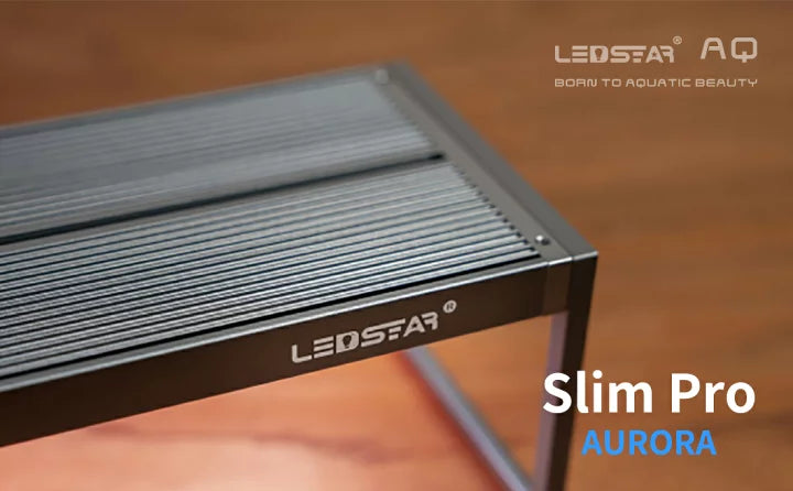 LEDSTAR AQS Pro AURORA LED Light - [AquaticMotiv]