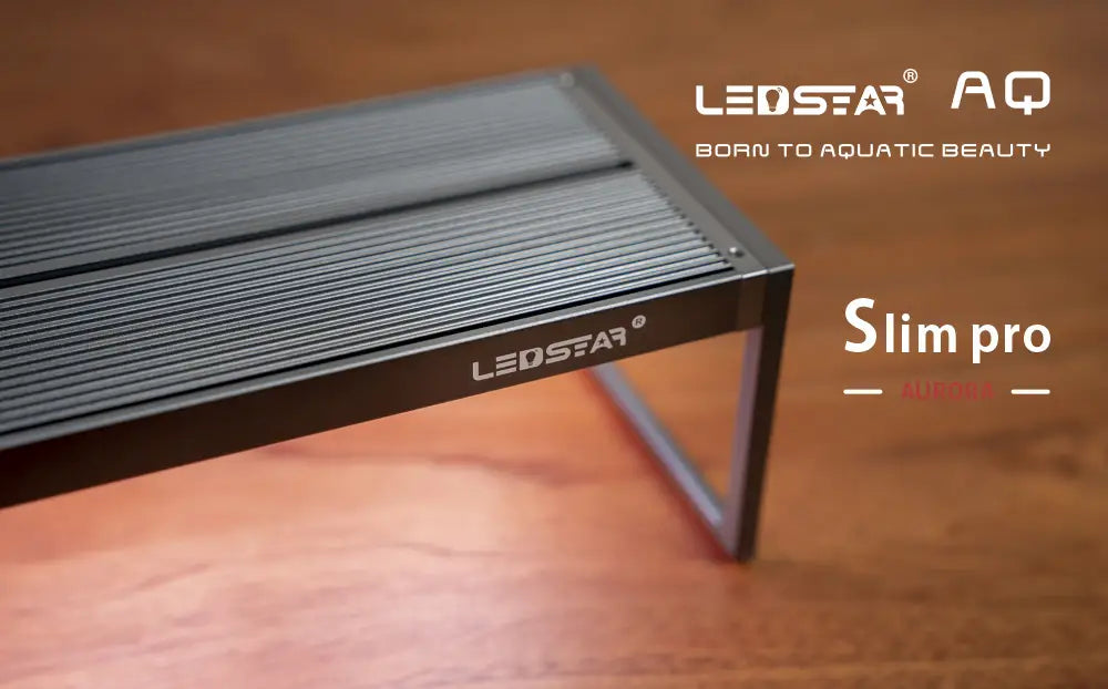 LEDSTAR AQS Pro Aurora RGBW LED Light | Aquatic Motiv LEDSTAR AQS Pro Aurora RGBW LED Light | Aquatic Motiv