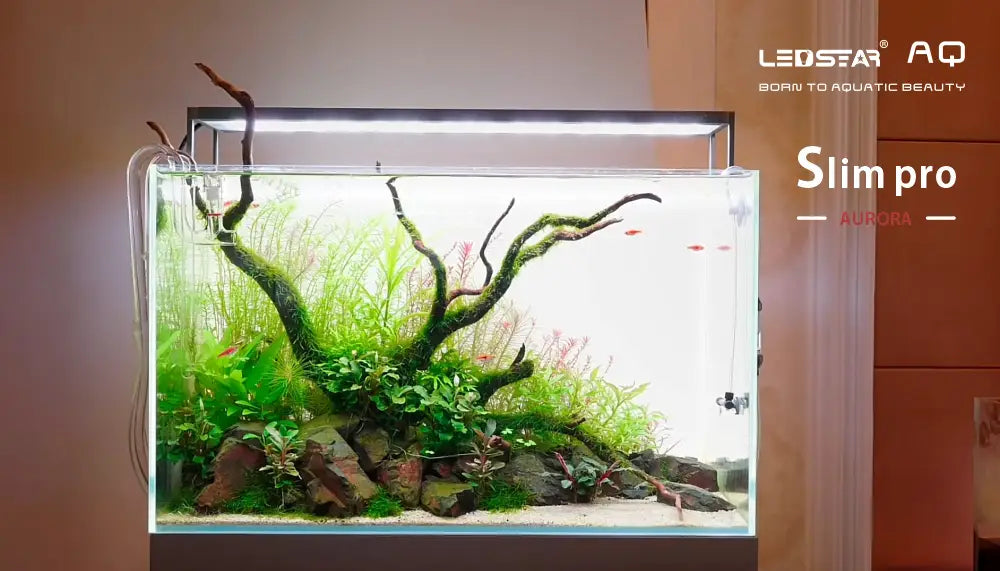 AQ-S60P Slim Pro AURORA RGBライト LED ledstar-aqs-pro-aurora-led-