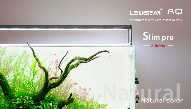 LEDSTAR AQS Pro AURORA LED Light - [AquaticMotiv]