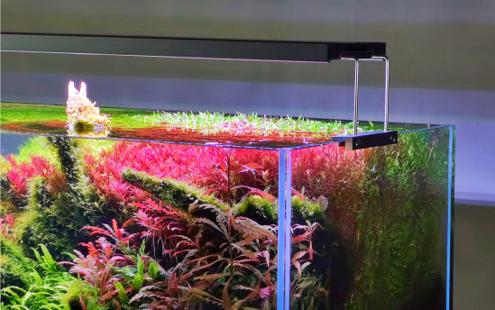 LEDSTAR AQ Z Series RGB Led Light - AquaticMotiv