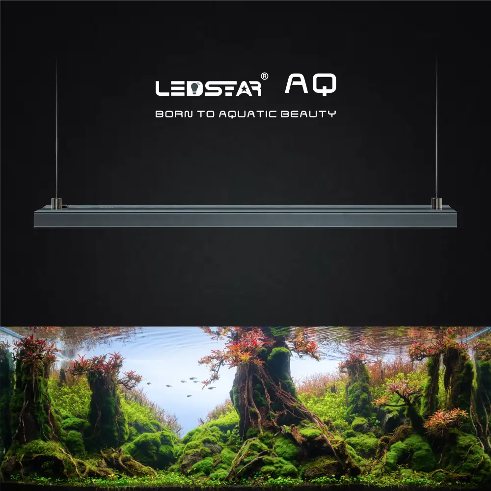 LEDSTAR AQZ Series RGBW LED Light Gen 3 | Aquatic Motiv LEDSTAR AQZ Series RGBW LED Light Gen 3 | Aquatic Motiv
