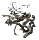 Manzanita litter sticks 8 pack with tangled weathered driftwood branches in gray brown and faded white tones