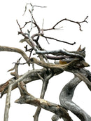 A tangled arrangement of weathered grayish brown manzanita litter sticks with gnarled textures and natural twists in an 8 pack