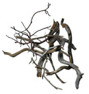 Manzanita litter sticks 8 pack featuring tangled weathered driftwood branches with varied textures and earthy tones
