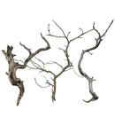 Manzanita Wood - [AquaticMotiv]