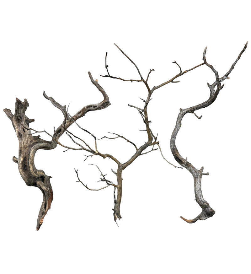 Manzanita Wood - [AquaticMotiv]