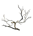 Manzanita Wood driftwood wall art with intricate branches and dark gray texture