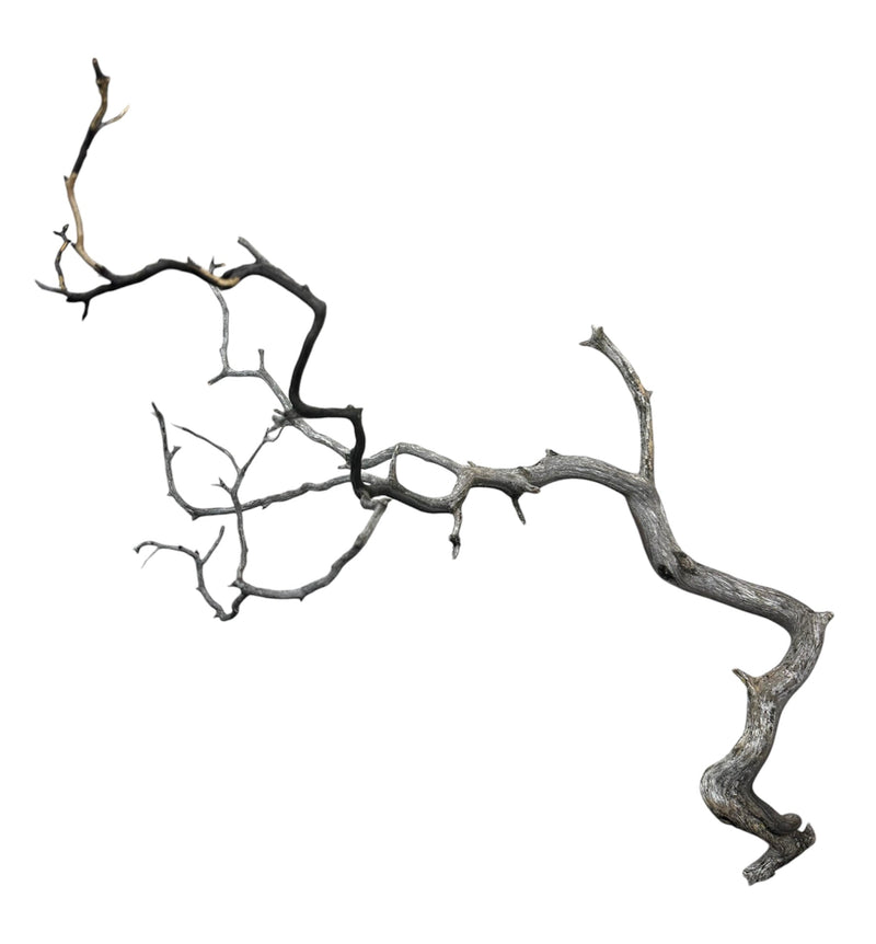 Manzanita Wood - [AquaticMotiv]