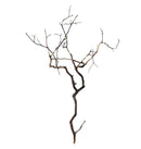 Manzanita wood black tree branch wall art sculpture