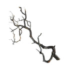 Dark Manzanita wood driftwood branch wall art with natural textures