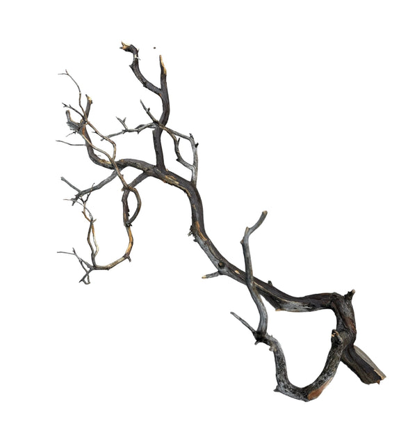 Manzanita Wood - [AquaticMotiv]