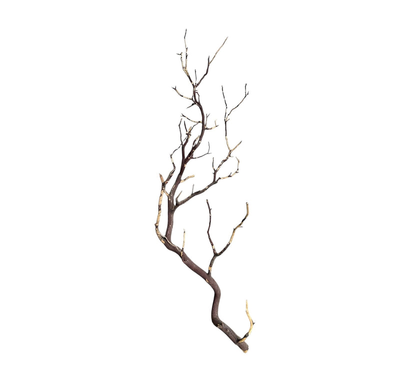 Manzanita Wood - [AquaticMotiv]