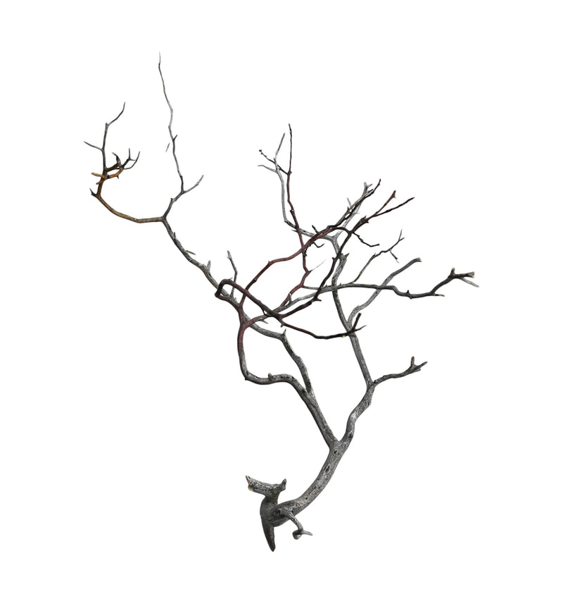 Manzanita Wood - [AquaticMotiv]