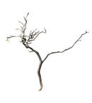 Black and white Manzanita wood tree branch sculpture