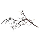 Manzanita wood black dried branch with intricate natural patterns