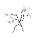 Manzanita Wood - [AquaticMotiv]