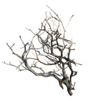 Manzanita Wood - [AquaticMotiv]