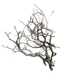 Manzanita Wood dried branch wall art with natural patterns