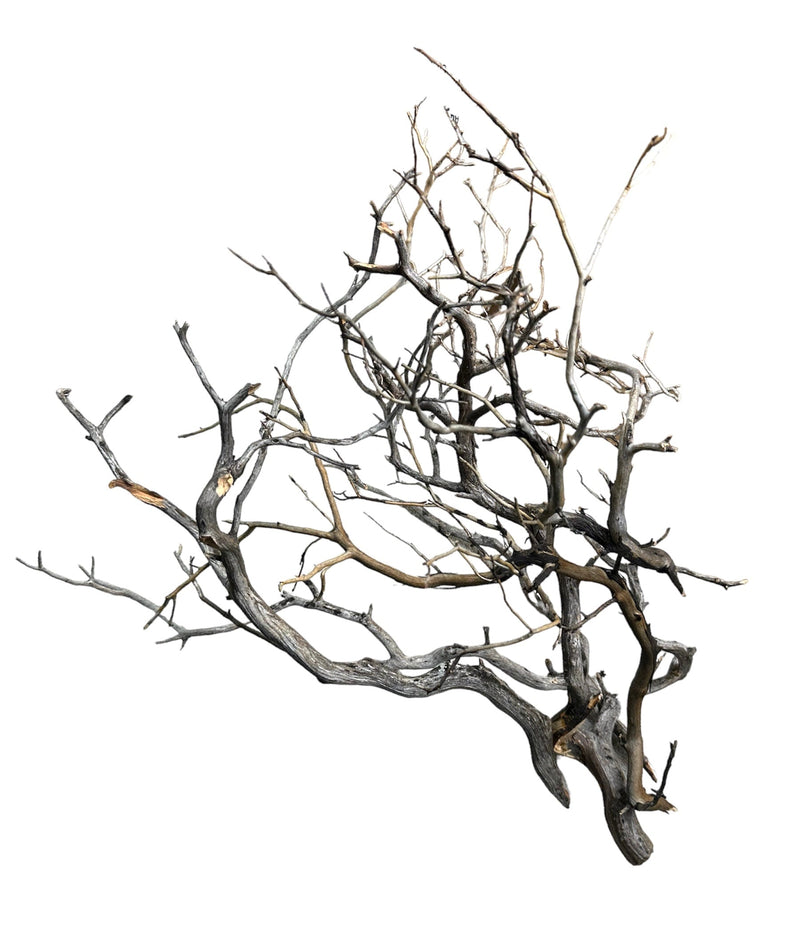 Manzanita Wood - [AquaticMotiv]