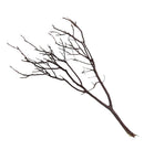 Manzanita Wood - [AquaticMotiv]