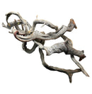 Manzanita Wood - Twisted - [AquaticMotiv]