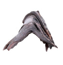 Weathered twisted Manzanita driftwood with curved grain