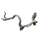Twisted Manzanita wood branch with weathered gray texture