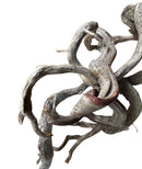 Manzanita Wood - Twisted - [AquaticMotiv]