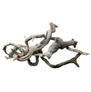 Manzanita Wood - Twisted - [AquaticMotiv]