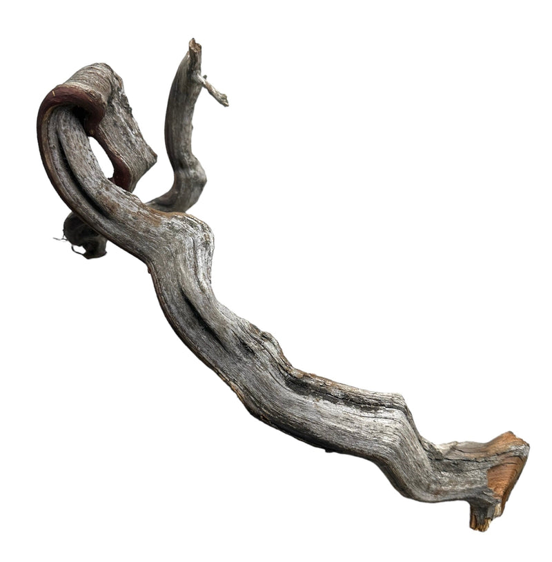 Manzanita Wood - Twisted - [AquaticMotiv]