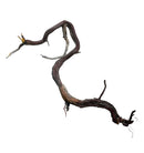 Manzanita Wood - Twisted - [AquaticMotiv]