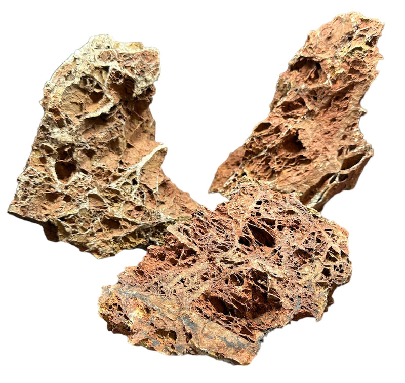 Maple Leaf Rock - AquaticMotiv