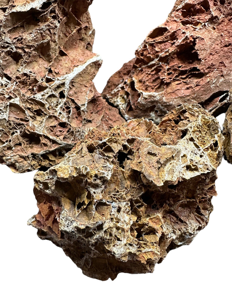 Maple Leaf Rock - AquaticMotiv