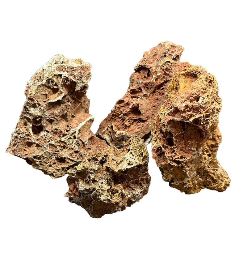 Maple Leaf Rock - AquaticMotiv