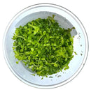 Vibrant green watercress in clear glass bowl, Monte Carlo Tissue Culture